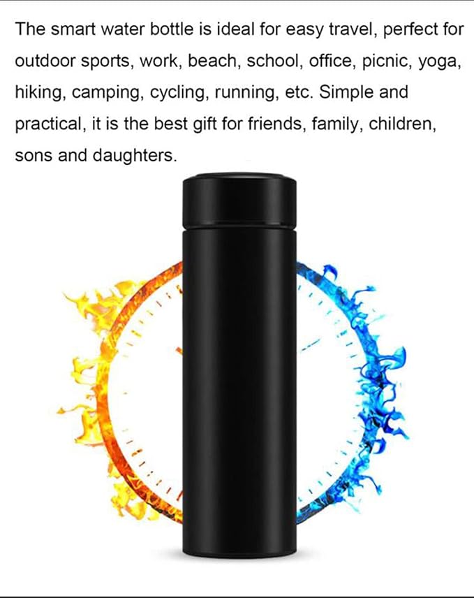 ThermoSense Pro 500